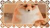 810510f6.gif?v=71f61e79